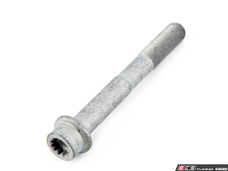 Caliper Mounting Bolt - Priced Each
