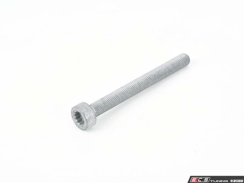 Caliper Mounting Bolt - Priced Each