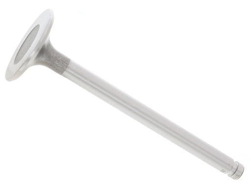 TRW Intake Valve - 2666