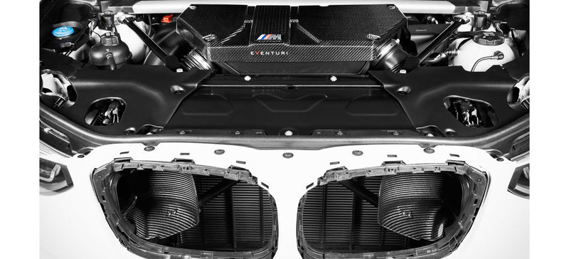 Eventuri F97 F98 Carbon air box lid with replacement filters + carbon scoops - EVE-FX34M-CF-INT