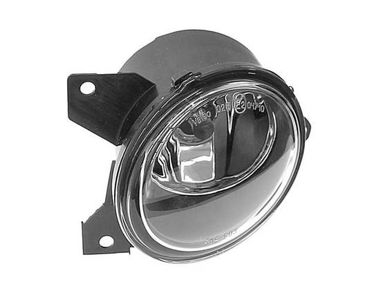 Foglight Assembly – Driver Side