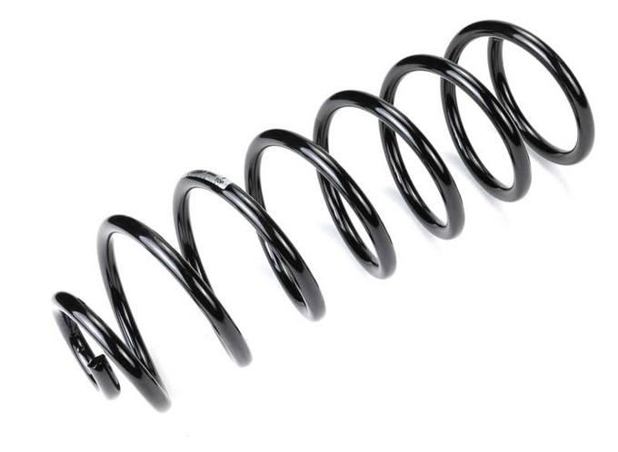 Coil Spring – Rear