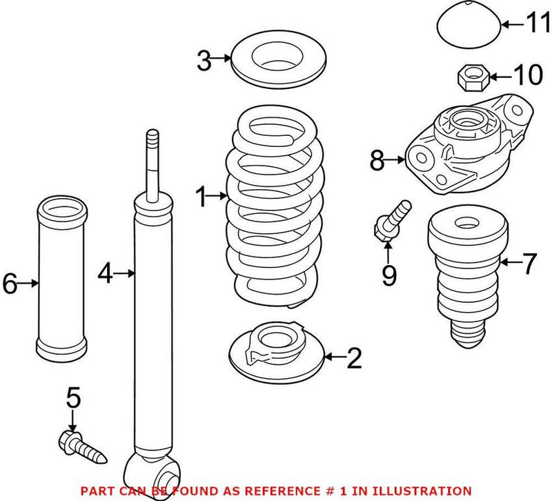 Coil Spring – Rear