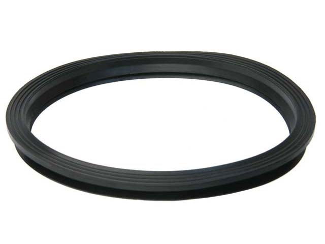 Sealing Ring