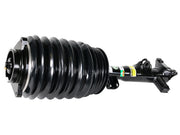 ARNOTT INDUSTRIES Strut - AS-3896