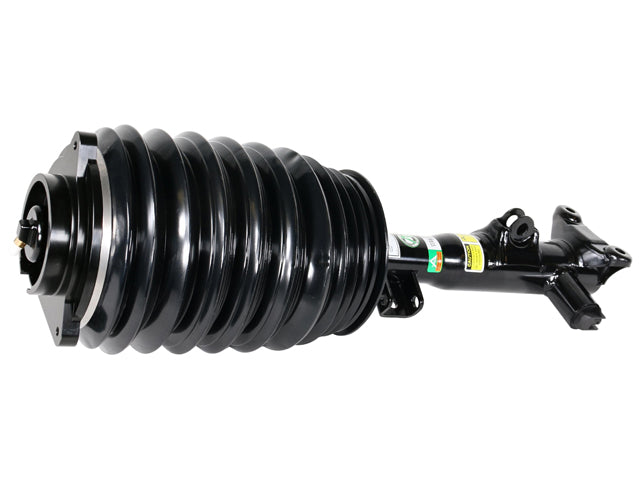ARNOTT INDUSTRIES Strut - AS-3896