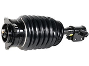 ARNOTT INDUSTRIES Air Suspension Strut - AS-3899