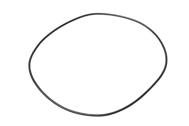 ZF O-Ring - 0734 313 162