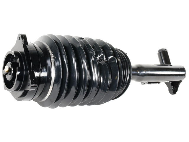 ARNOTT INDUSTRIES Strut - AS-3894
