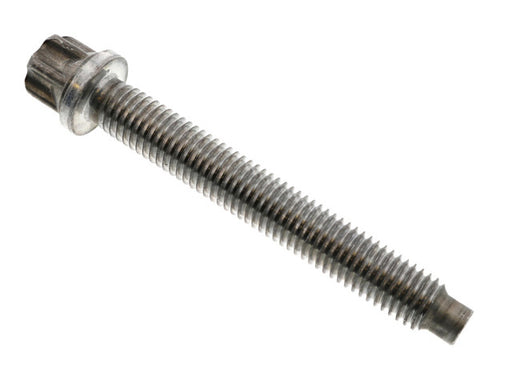 REIN AUTOMOTIVE Torx Bolt - HWB0001