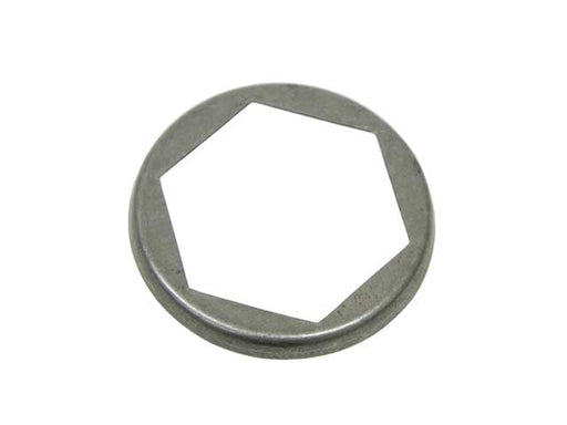 ZF Lock Plate - 0730 749 139