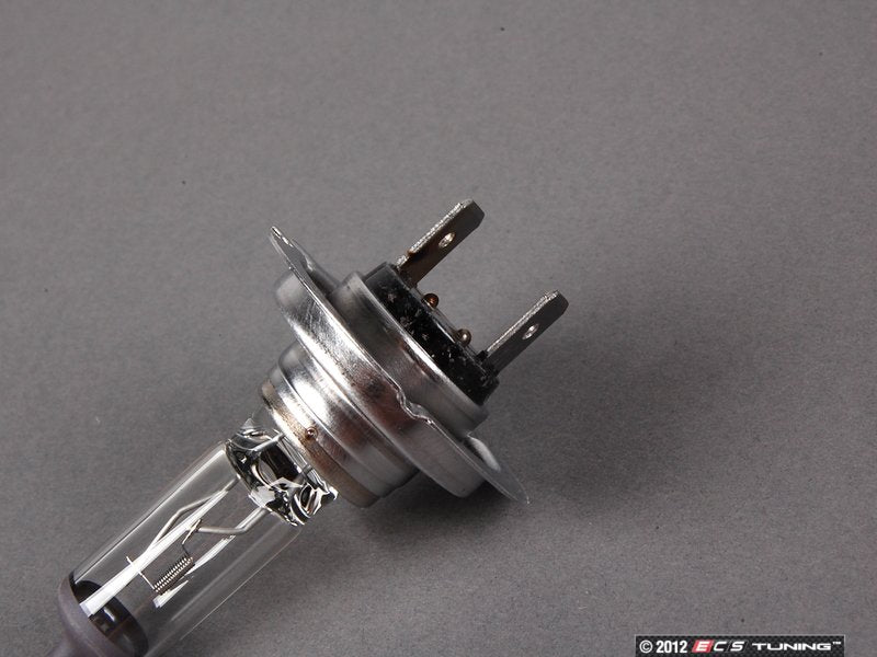 H7 Halogen Bulb - Priced Each