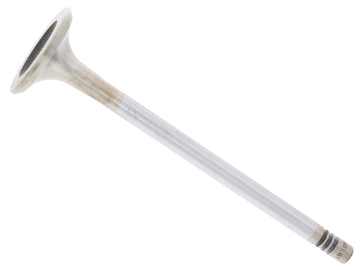 AE Exhaust Valve - V80005