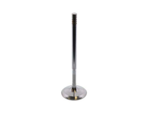 TRW Intake Valve - 261142