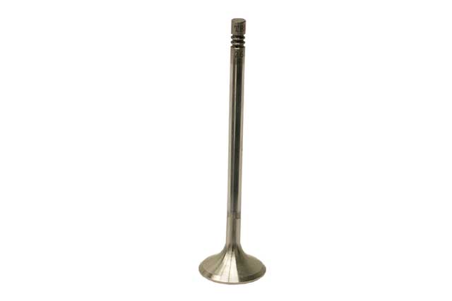 TRW Exhaust Valve - 261131