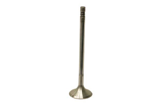 TRW Exhaust Valve - 261131