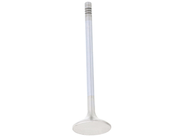 TRW Exhaust Valve - 261133
