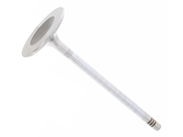 TRW Intake Valve - 261132