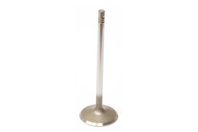 TRW Intake Valve - 261130