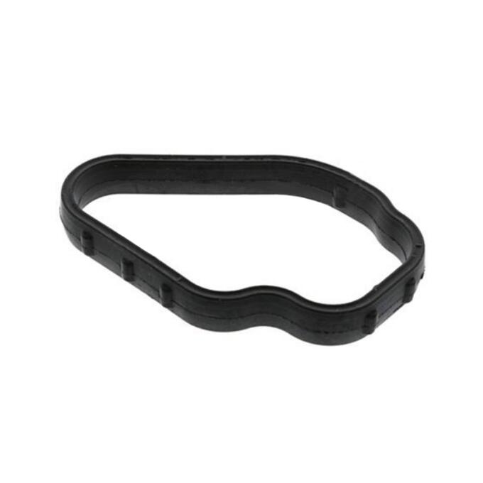 Coolant Pipe Gasket