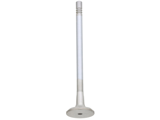 TRW Exhaust Valve - 261149