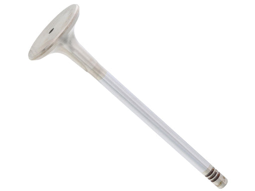 TRW Exhaust Valve - 261151