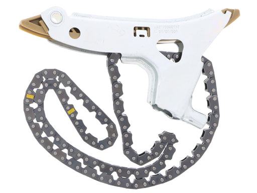 INA Timing Chain - 5530331100