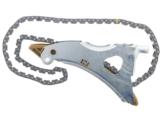 INA Timing Chain - 5530332100