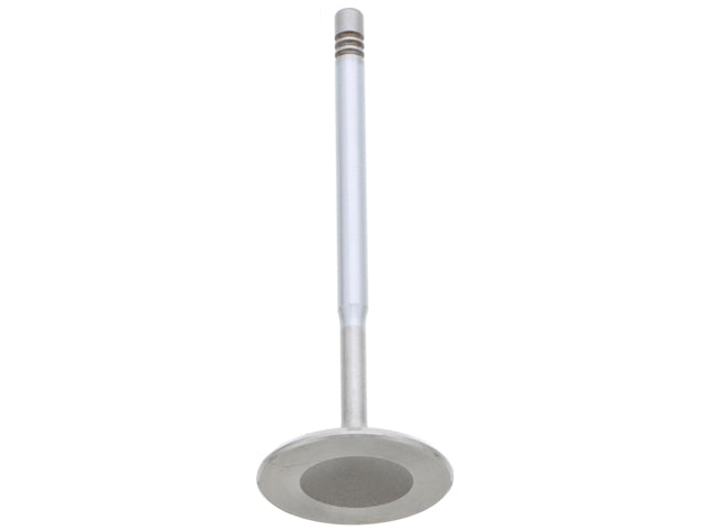 TRW Intake Valve - 261150