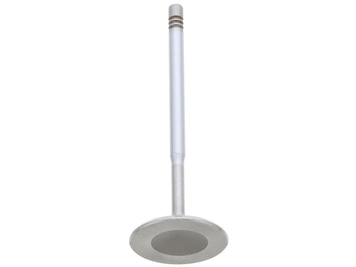 TRW Intake Valve - 261150