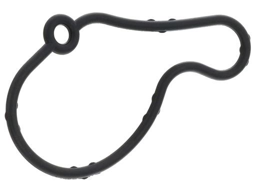 Vacuum Pump Gasket