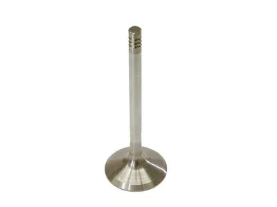 Ae Intake Valve V94551