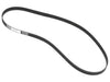 Timing Belt