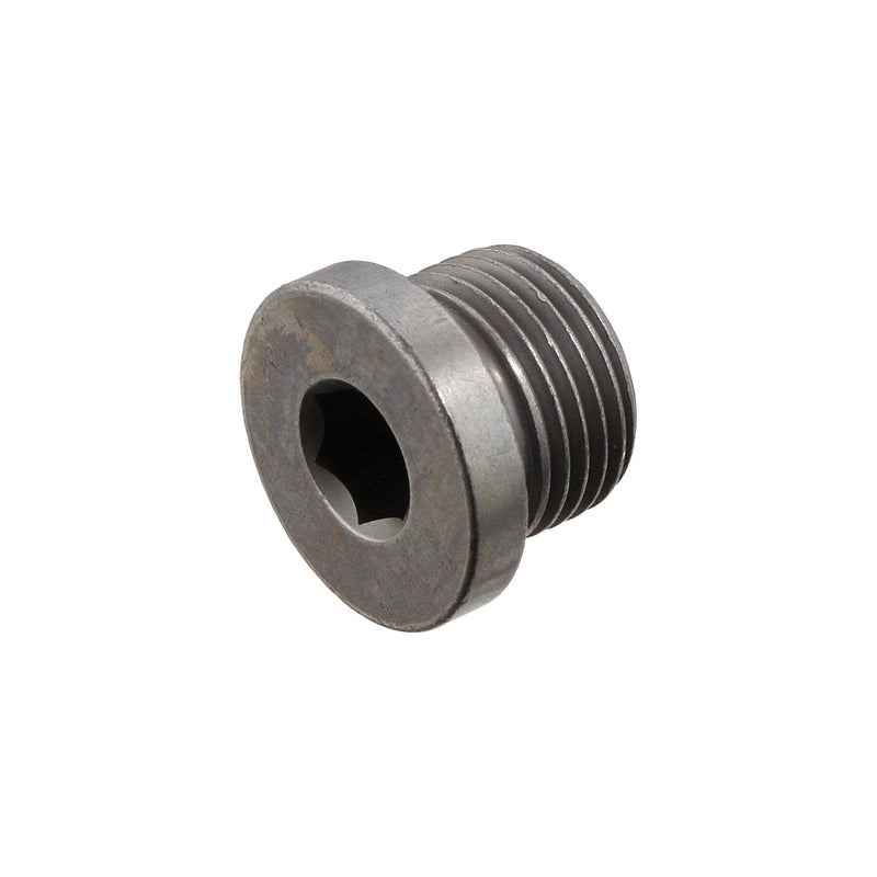 FEBI BILSTEIN Differential Drain Plug 31702