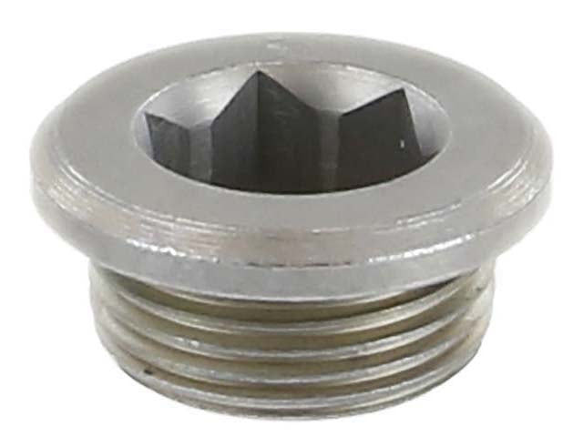 REIN AUTOMOTIVE Differential Drain Plug - HWP0065