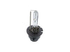 Bulb