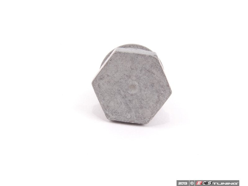 Oil Drain Plug