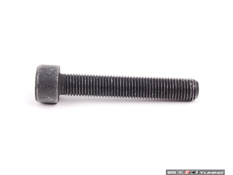 Caliper Mounting Bolt - Priced Each