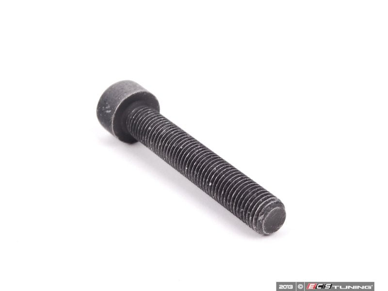 Caliper Mounting Bolt - Priced Each