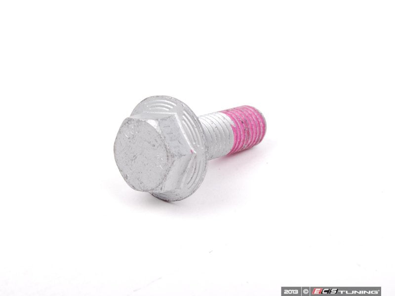 Belt Tensioner Roller With Protection Cap