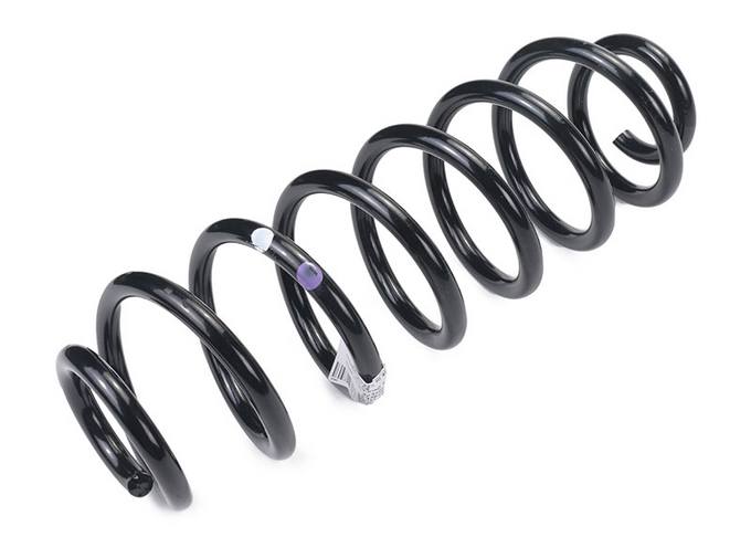 Coil Spring – Rear