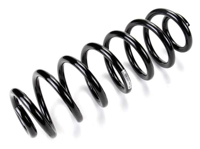 Coil Spring – Rear
