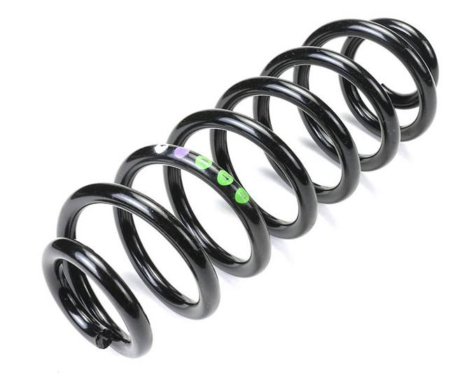 Coil Spring – Rear