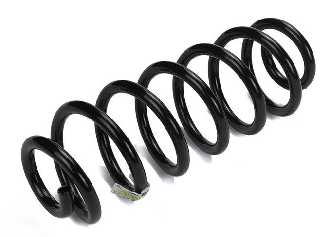 Coil Spring – Rear