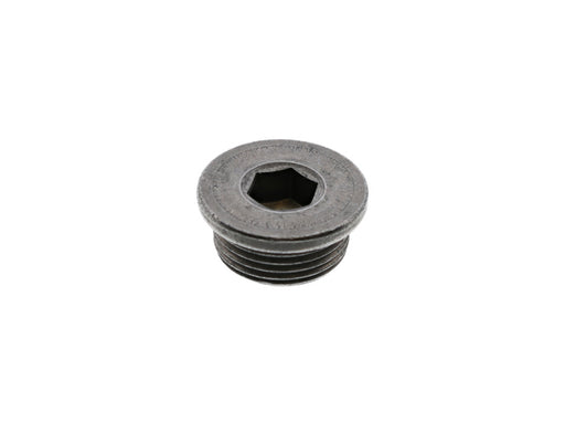 Transmission Drain Plug