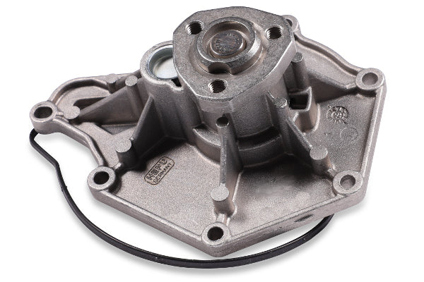 Hepu Water Pump P653
