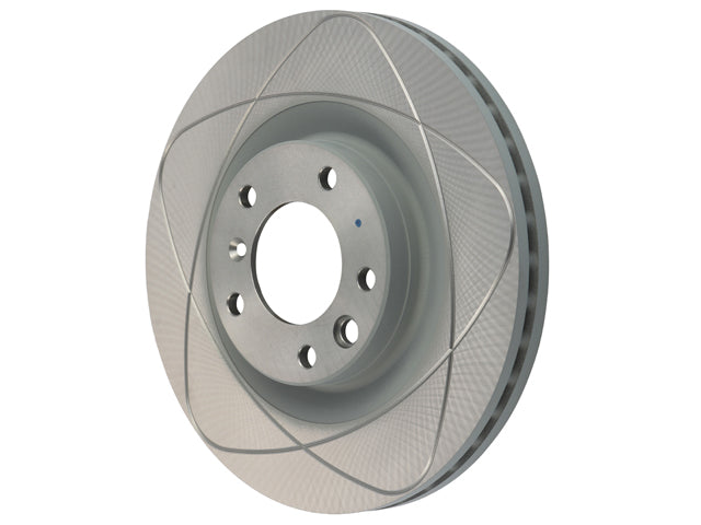 SHW PERFORMANCE Brake Disc - TFX30006