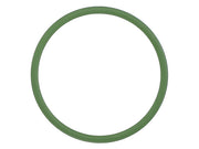 Fuel Pump Seal