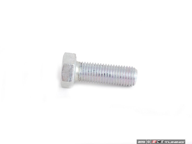 Caliper Mounting Bolt - Priced Each