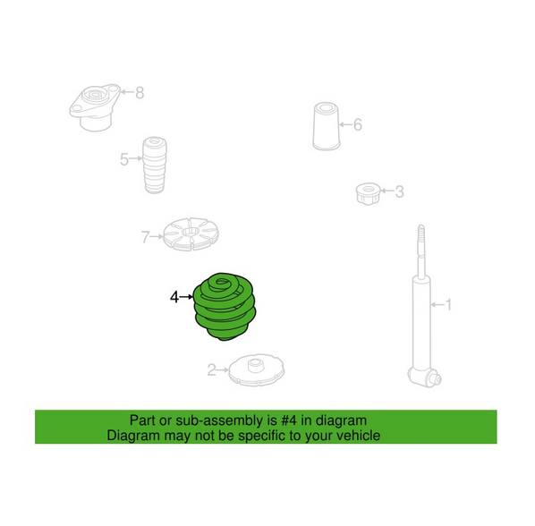 Coil Spring – Rear